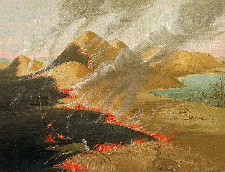 george catlin - image 6