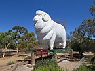 Giant Ram, Wagin, April 2021 01.jpg