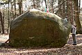 De Giebichenstein, een grote zwerfsteen in het Kraaienbos (Krähe), 10 km ten oosten van de stad