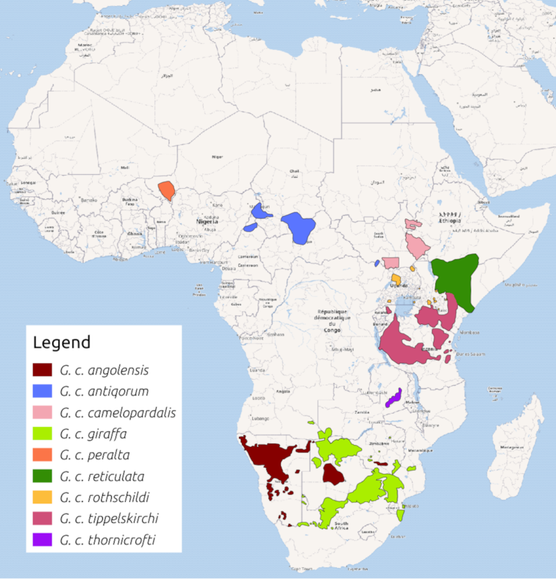 Giraffa camelopardis distribution 2018.png