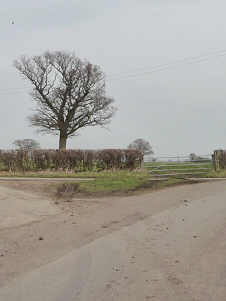 File:Grass triangle where Green and Weeton Lanes meet - geograph.org.uk - 4390417.jpg