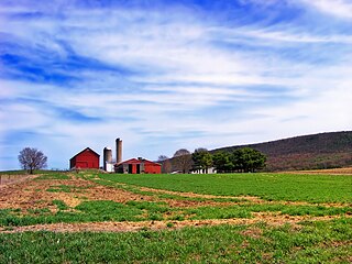 Greene Township, Clinton County, Pennsylvania Township in Pennsylvania, United States