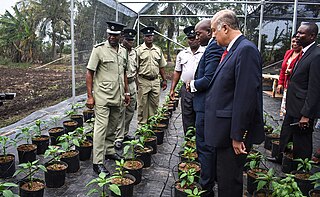 <span class="mw-page-title-main">Tamarind Farm Correctional Centre</span> Prison in Jamaica