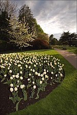 Parques Reales de Londres