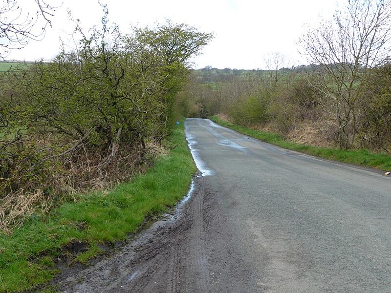 File:Hangingstone Lane - geograph.org.uk - 2911347.jpg