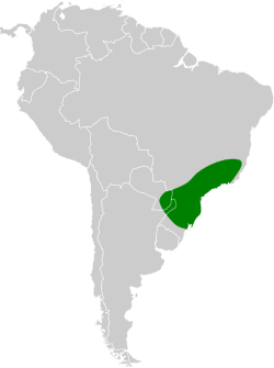 Distribución geográfica del yal unicolor.