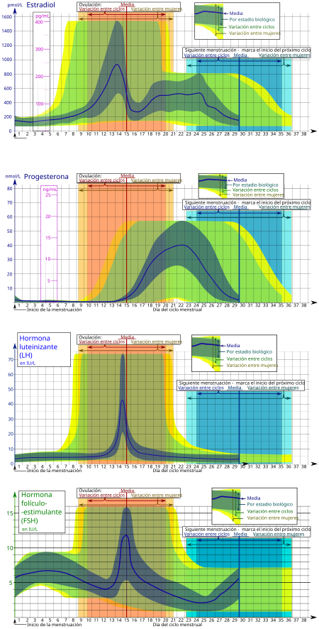 Tập tin:Hormones estradiol, progesterone, LH and FSH during menstrual cycle es.svg