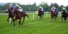 Horse racing in Sligo Irl-Sligo horse racing.jpg