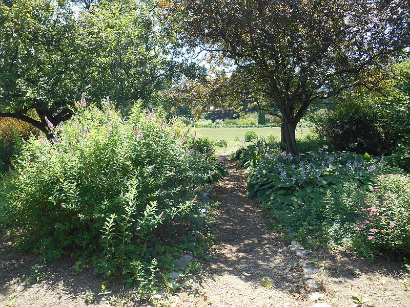 File:Jardin botanique Roger-Van den Hende 008.jpg