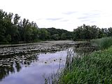 Jezioro Powsinkowskie.jpg