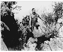 Joe Martin and Pollar, looking ecstatic and wearing the stereotypical Tarzan leopardskin, perched in the bow of a tree