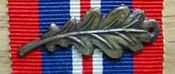 Oakleaf on ribbon of War Medal 1939-1945 KC Oak.jpg