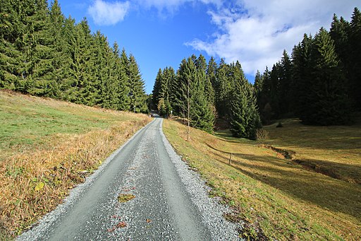 Kammweg - bei Wildenthal (Eibenstock) 2H1A0351WI