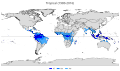 Miniatura della versione delle 00:58, 8 feb 2020