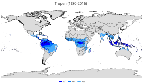 Tropischer Regenwald: Definition, Verbreitung und Zustand, Ökologie