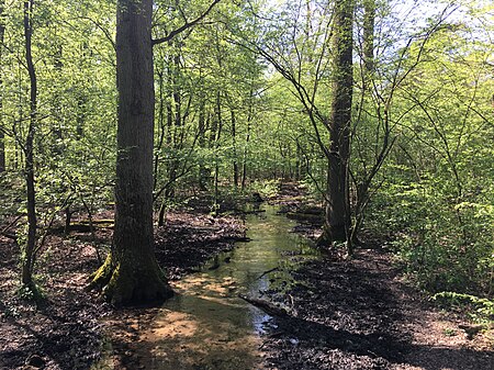 Kurtenwaldbach Blick nach Südwesten