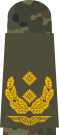Generalmajor (sut tempur)