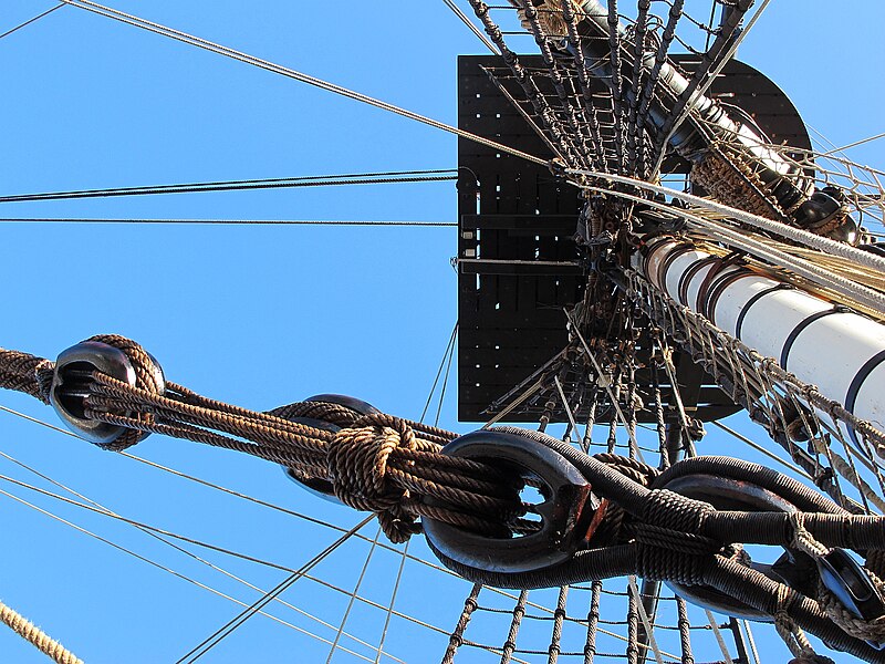 File:L Hermione 30 nov 2014-l.jpg