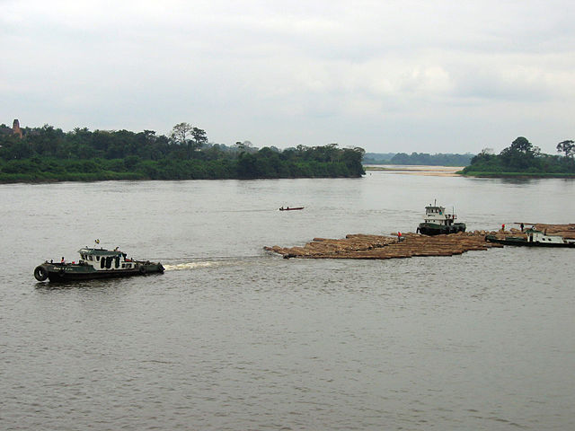 Flottage de grumes dans la lagune de Lambaréné au Gabon.