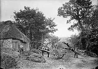 Attelage constitué d'un cheval et d'une charrette en bois dans le village de Léonas.