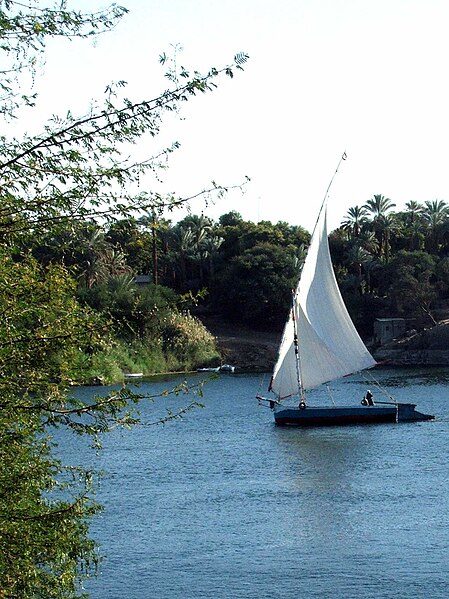 File:Le Nil de l'Île des plantes - panoramio - youssef alam (3).jpg