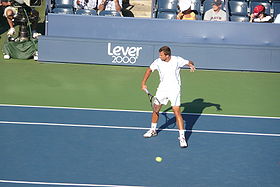 Lovro Zovko 2008 US Open.jpg