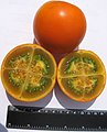Lulo o Naranjilla (Solanum quitoense)