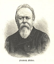 Friedrich Müller (1893)