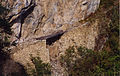 Machu Picchu old trail bridge.jpg