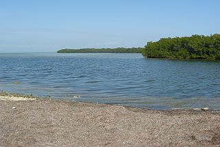 <span class="mw-page-title-main">Fat Deer Key</span> Island in the middle Florida Keys, United States