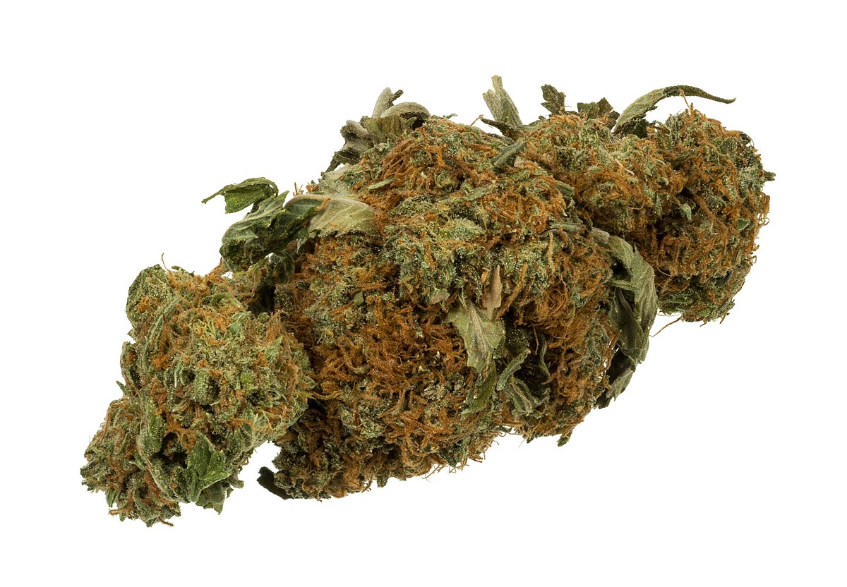 File:Marijuana-Cannabis-Weed-Bud-Gram.jpg - Wikimedia Commons