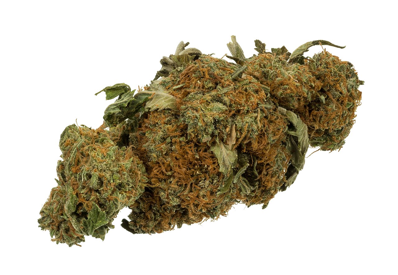 Файл:Marijuana-Cannabis-Weed-Bud-Gram.jpg — Вікіпедія