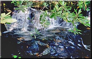 Martin Creek Falls