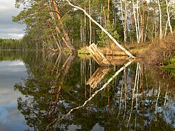 Meelva järv.JPG