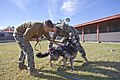 Military working dog bids farewell to working life 121114-M-KU760-571.jpg