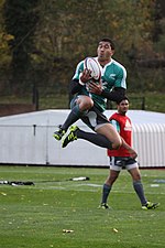 Vignette pour Mils Muliaina