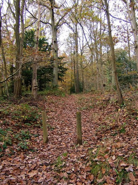 File:Minor path into Wyre Forest from car park off B4194 road - geograph.org.uk - 1577777.jpg