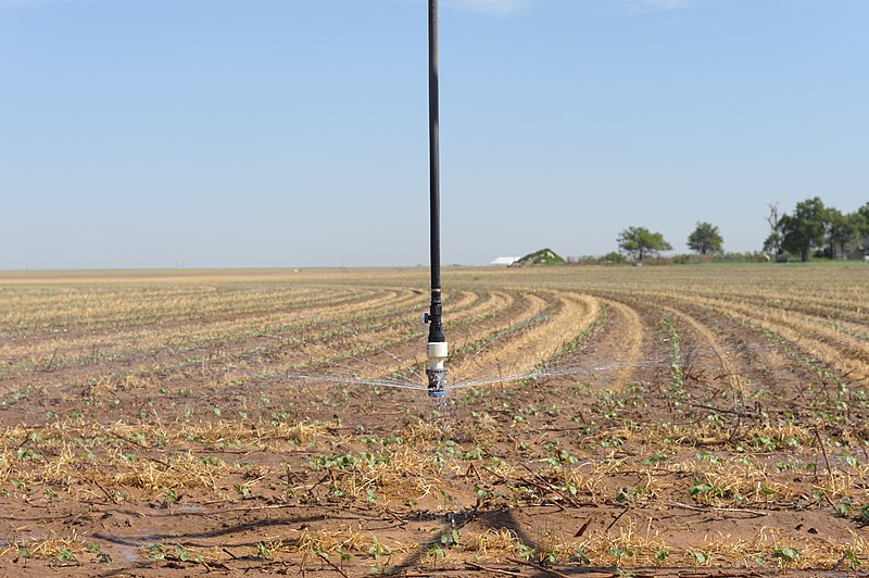 File:Mitchell farms in Lynn County irrigating cotton using efficient drop nozzles on center pivot irrigation system. (24486386414).jpg