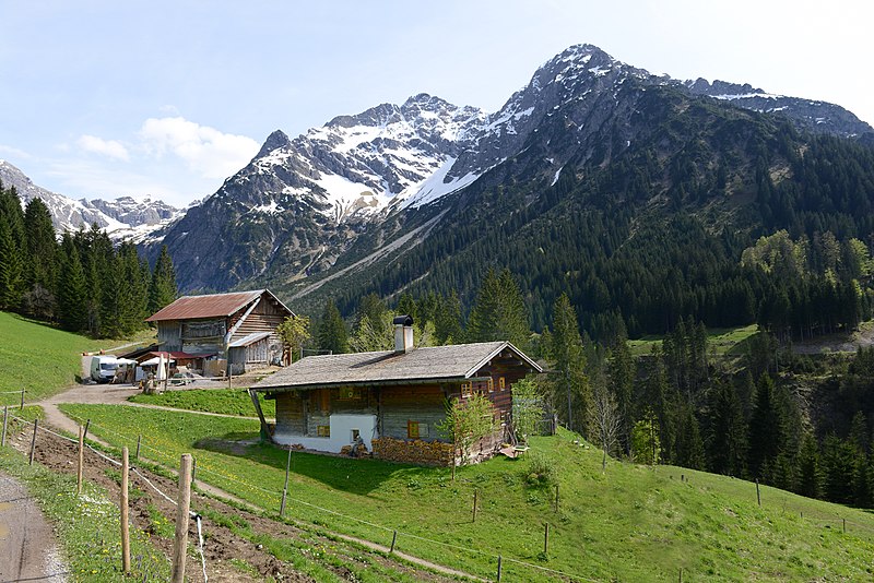 File:Mittelberg Höfle 47, Böhringer 1.JPG