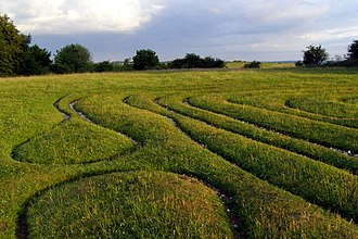 Mizmaze on St Catherine's Hill Mizmaze on St Catherine's Hill - geograph.org.uk - 1363530.jpg