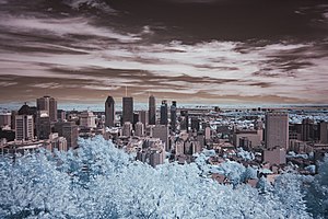 Infrared Photography