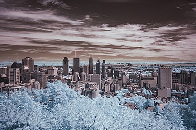 A view in infrared of Montréal as seen from Mont Royal.