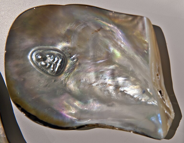 File:Mother-of-pearl internal-beads3 hg.jpg