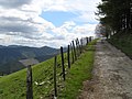 Pretty road in Spain.