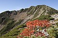 2018年4月27日 (金) 13:50時点における版のサムネイル