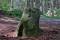 Wanderblockteilstück nordischer Herkunft; Ansicht von Norden mit eingehauenem Tatzenkreuz, allerdings als lateinisches Kreuz realisiert; Teil einer Grenzsteinreihe aus dem 15. Jahrhundert, die von Sieversen westwärts in den Rosengarten verläuft; seit dem 10. Juni 1955 Naturdenkmal