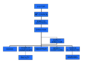 NIT Organisational Structure.png