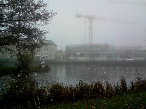 Nebelwetter am Teich in NMS.