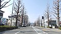 Namikicho, Hachioji, Tokyo 193-0831, Japan - panoramio (4).jpg