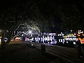 Christmas Light at Riverbank in Natchitoches in 2021